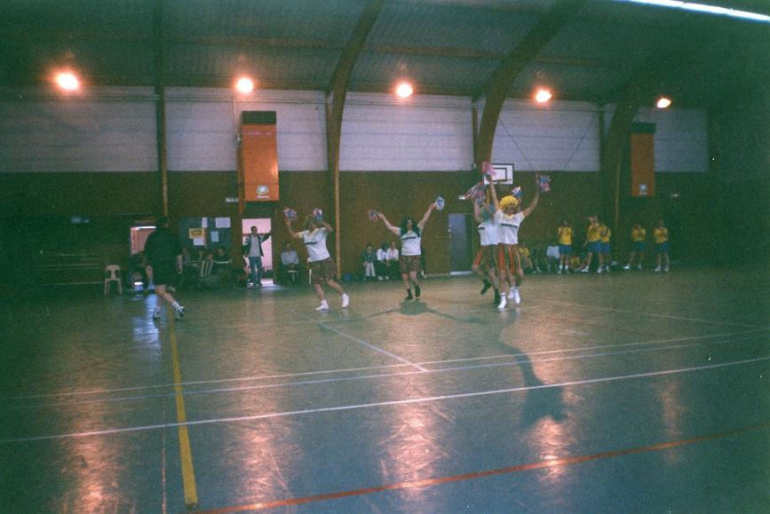 Bonson - Villard-Bonnot a Roche - avril 2001 - 1